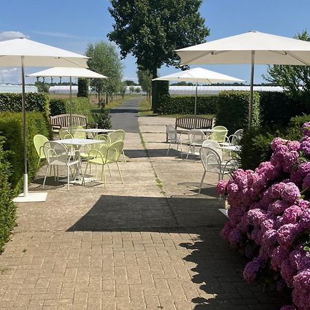 Tannine Et Cuisine Villa Jabbeke  Eksteriør bilde