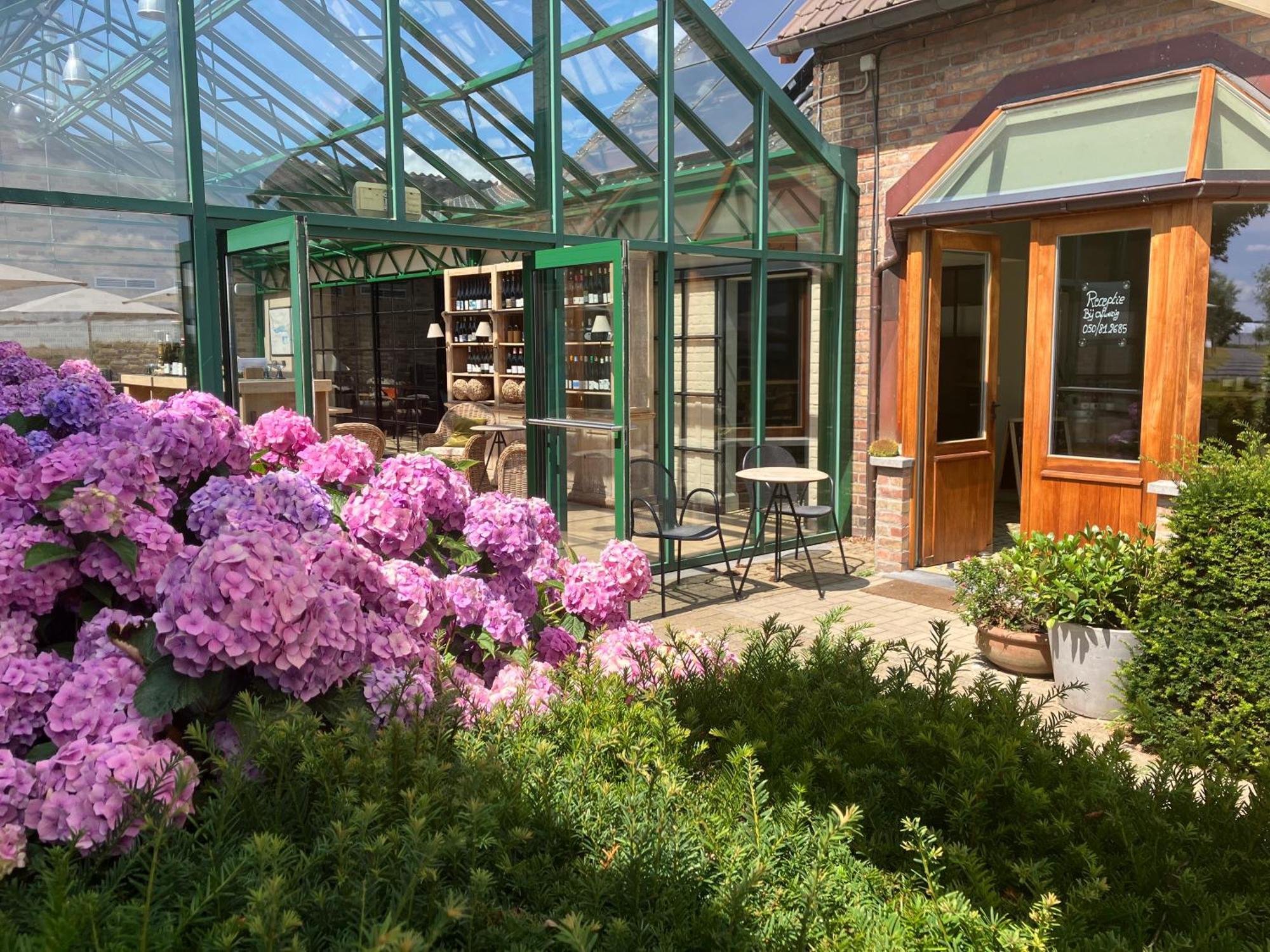 Tannine Et Cuisine Villa Jabbeke  Eksteriør bilde