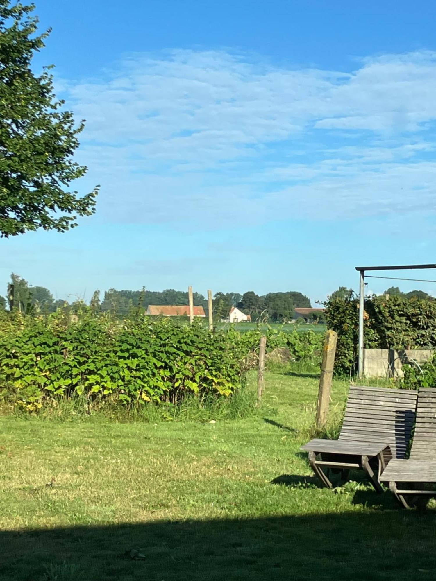 Tannine Et Cuisine Villa Jabbeke  Eksteriør bilde