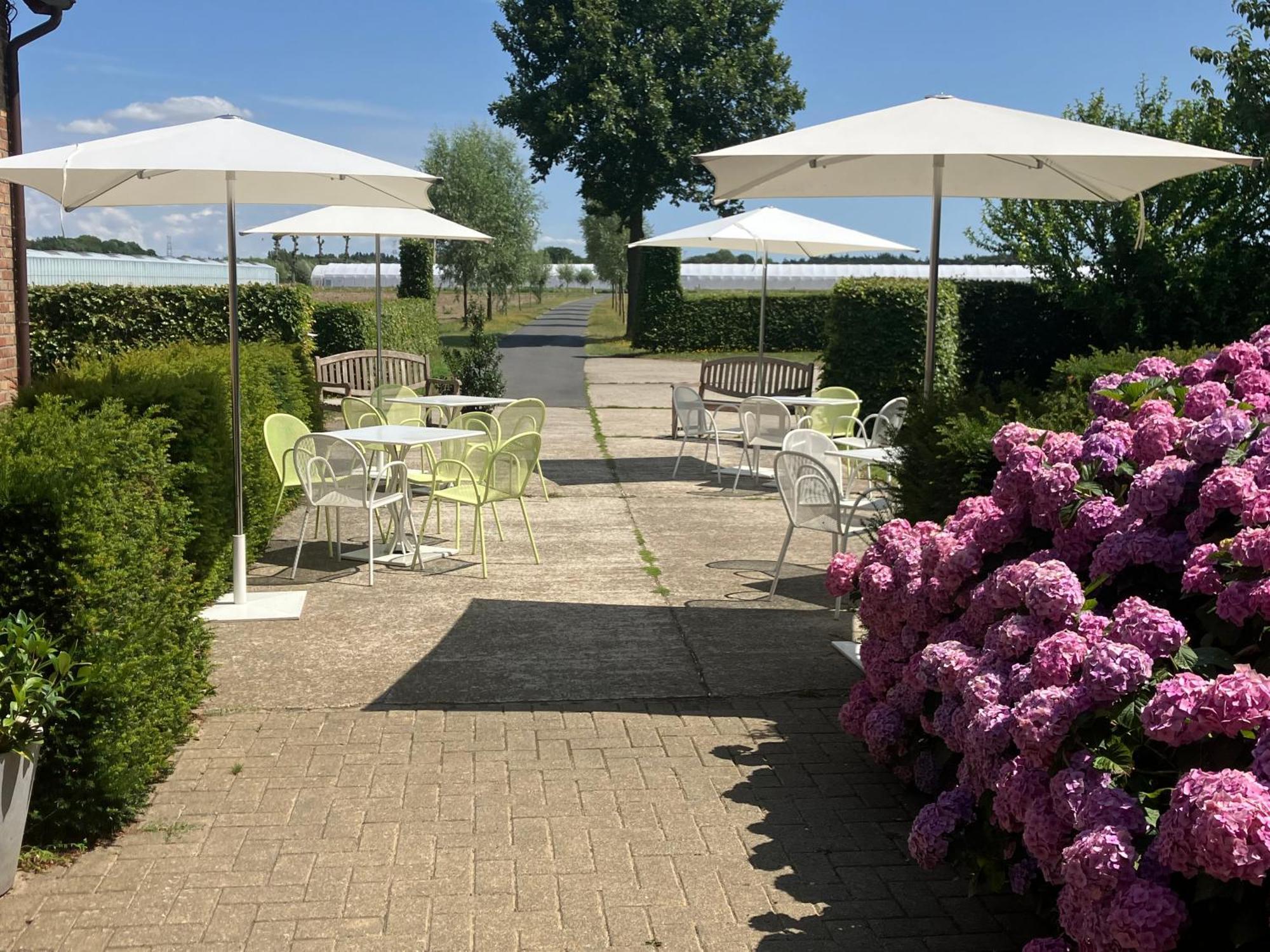 Tannine Et Cuisine Villa Jabbeke  Eksteriør bilde