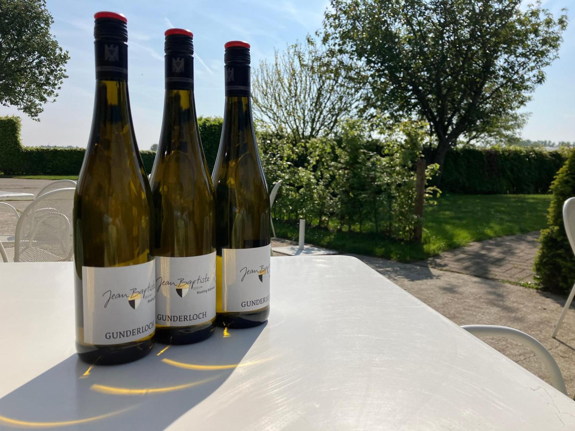 Tannine Et Cuisine Villa Jabbeke  Eksteriør bilde